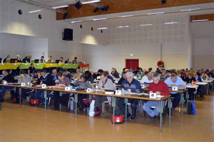P08.JPG