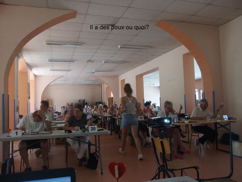 P6061843.jpg